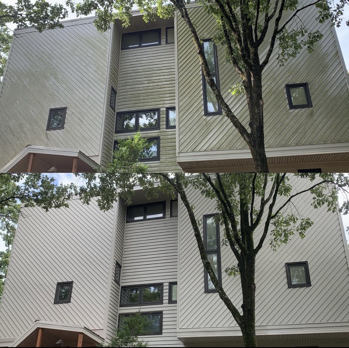 Before and after soft wash removing green algae from cedar siding in Roland, Arkansas